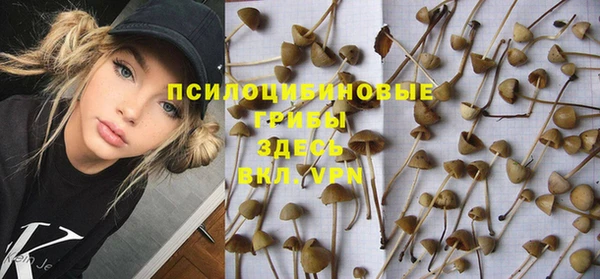МДПВ Белокуриха