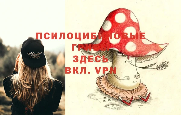 наркотики Богданович